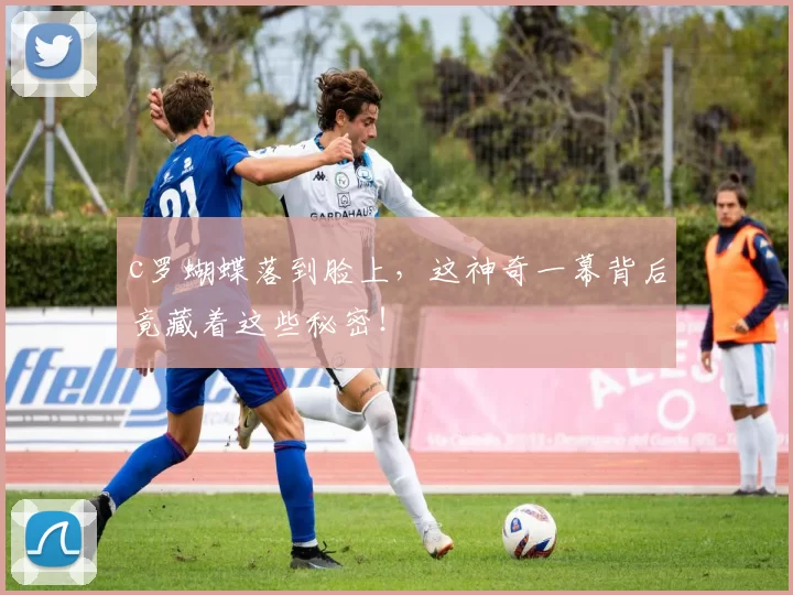 c罗蝴蝶落到脸上，这神奇一幕背后竟藏着这些秘密！