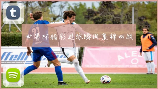 世界杯精彩进球瞬间集锦回顾