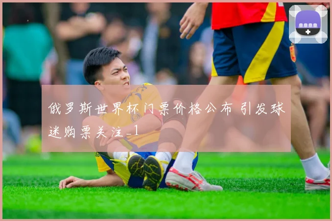 俄罗斯世界杯门票价格公布 引发球迷购票关注_1